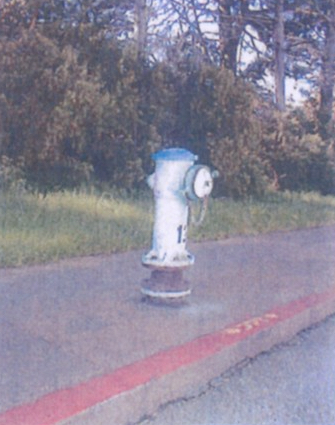 stowlakehydrant-copy.jpeg