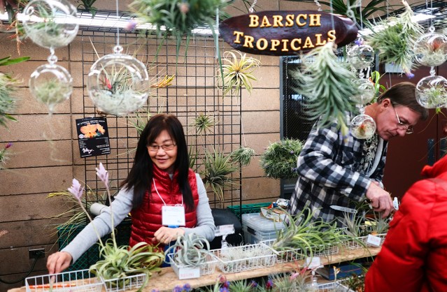 RR_Page1_OrchidFest_March201