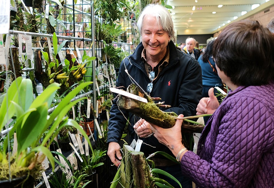 RR_PageOne2_OrchidFest_March201