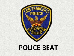 police beat graphic revised