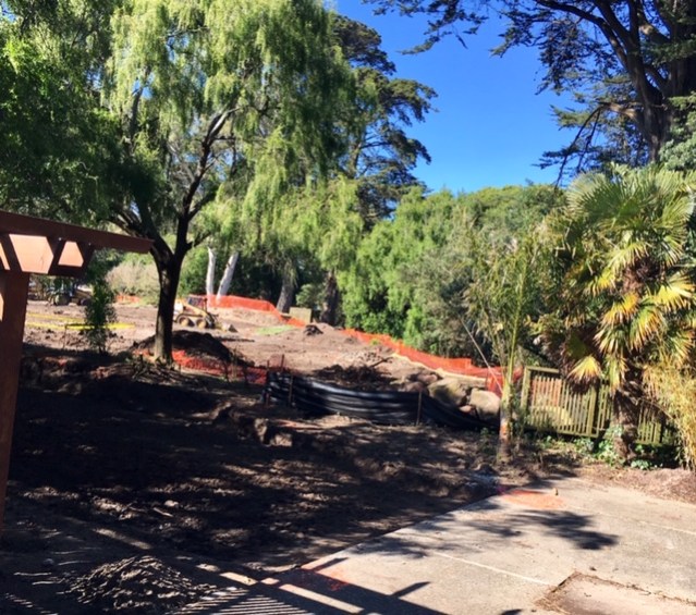 Botanical G constr 1