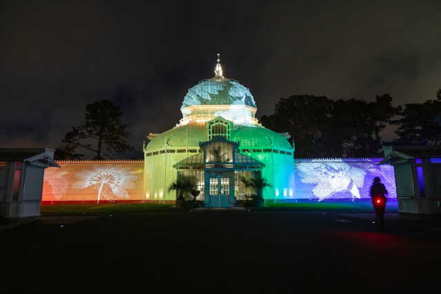 Conservatry light 3 Tyler Hansonojpg