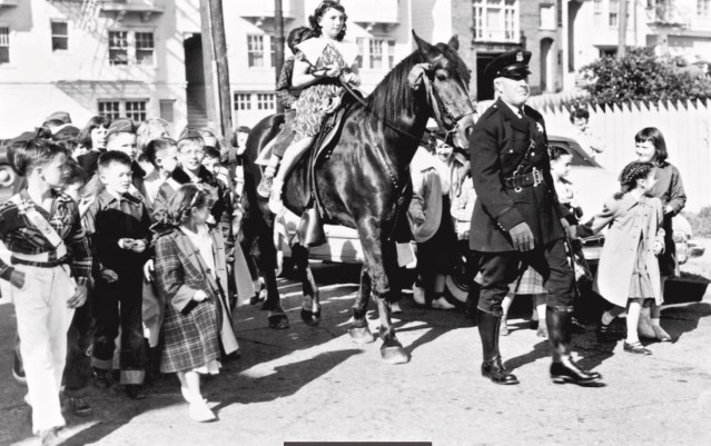 Argonne school horse photo