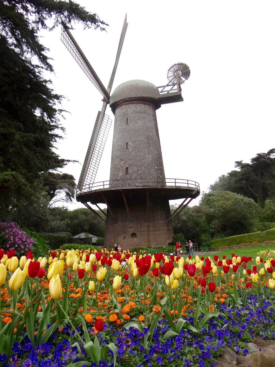 Spring at the Queen Wilhelmina Tulip Garden in Golden Gate Park