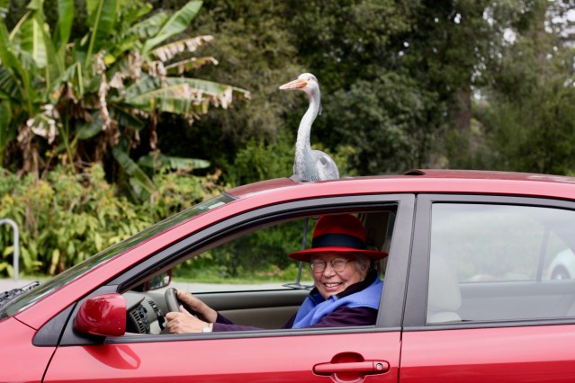 Nancy DeStefanis-lighter