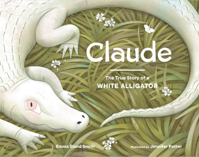 Claude cover