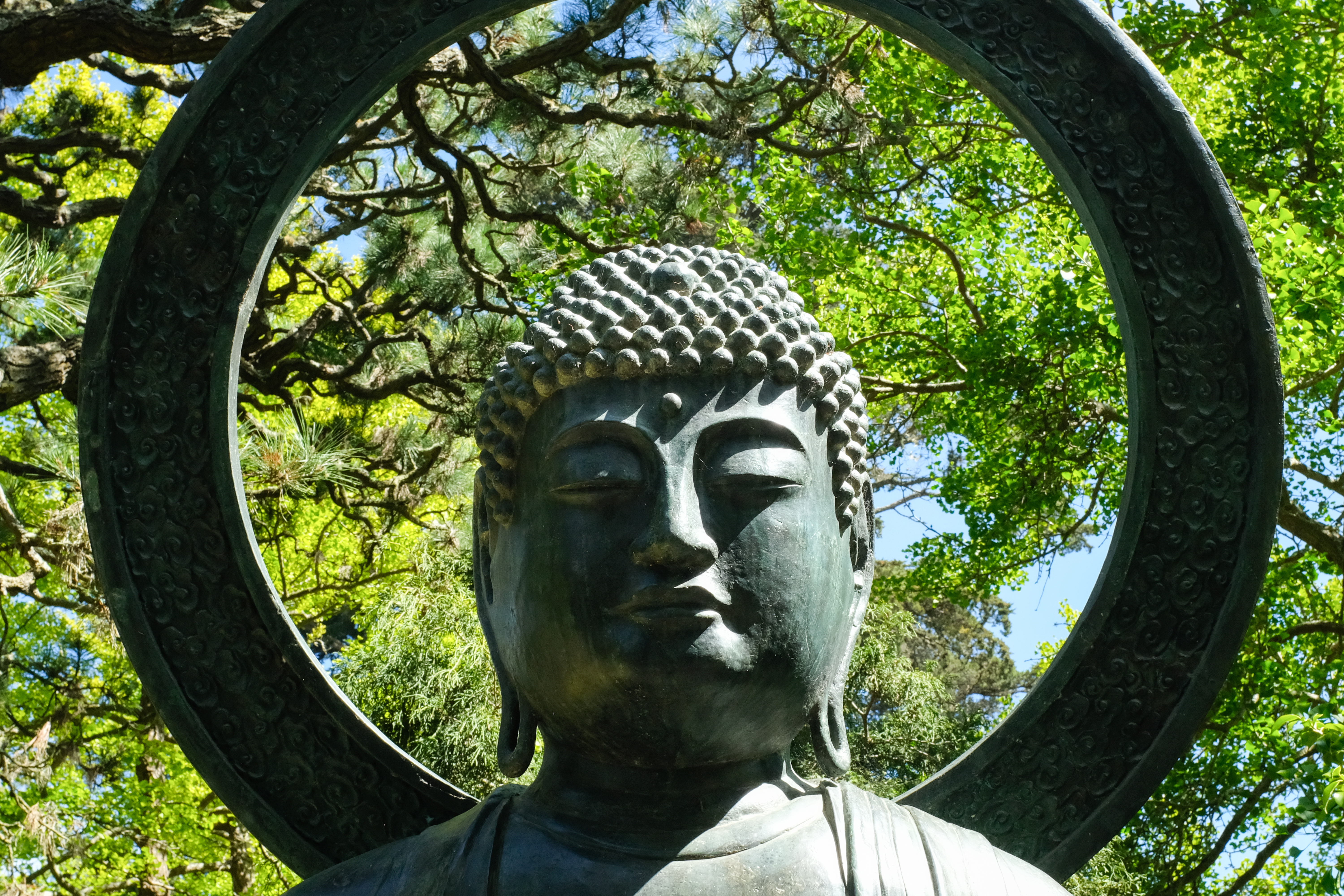 looking-back-buddha-photo-face