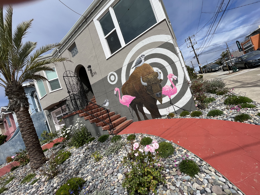 Artist's Whimsical, Colorful Mural Enlivens Sunset District Home