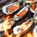 OutsideLands_Woodhouse_BBQ_Oysters_Sat_081223_SarahFelker-3