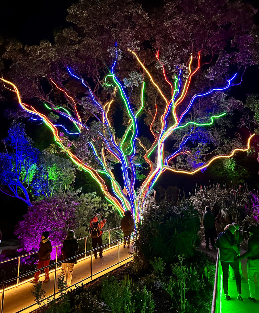 ピクニック ストロベリー オブジェ Botanical Garden Transforms Into Holiday 'Lightscape' – Richmond